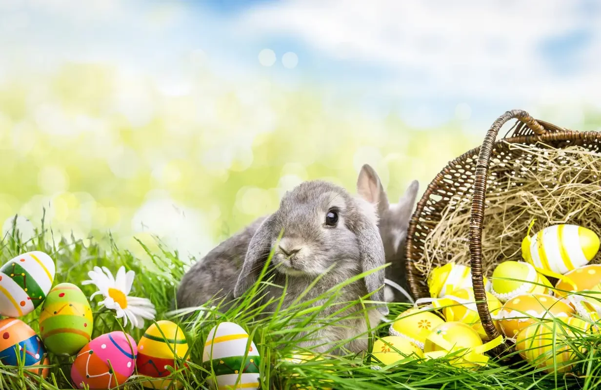 Frohe Ostern!