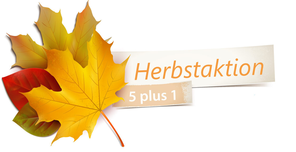 🍂 Herbstaktion: 5 + 1! Ein schaurig gutes Halloween-Angebot!